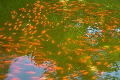 《Voivod: The Nuclear Warrior》Steam页面 支持中文