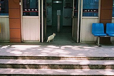 2021年Metacritic五大差评游戏 倒数第一毫无悬念